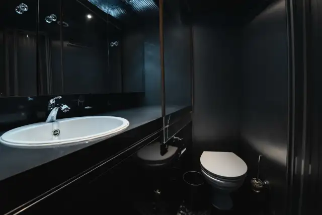 Valhalla guest bathroom photo 2